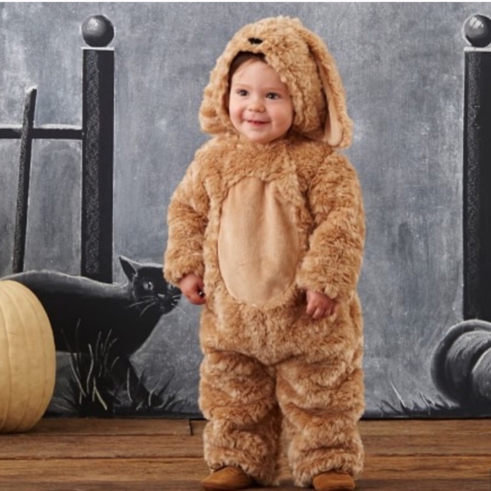 Pottery Barn Puppy Costume